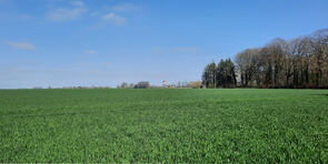 chemin